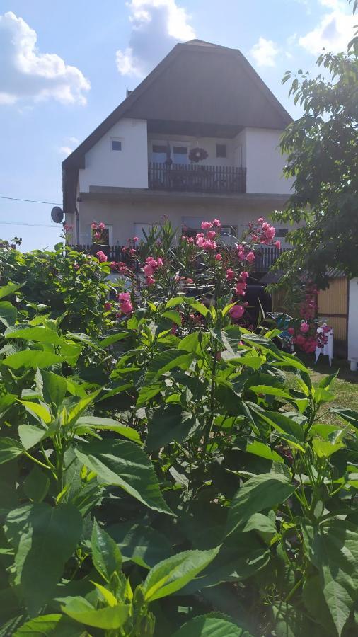 Leander Apartman بالاتوليلّي المظهر الخارجي الصورة